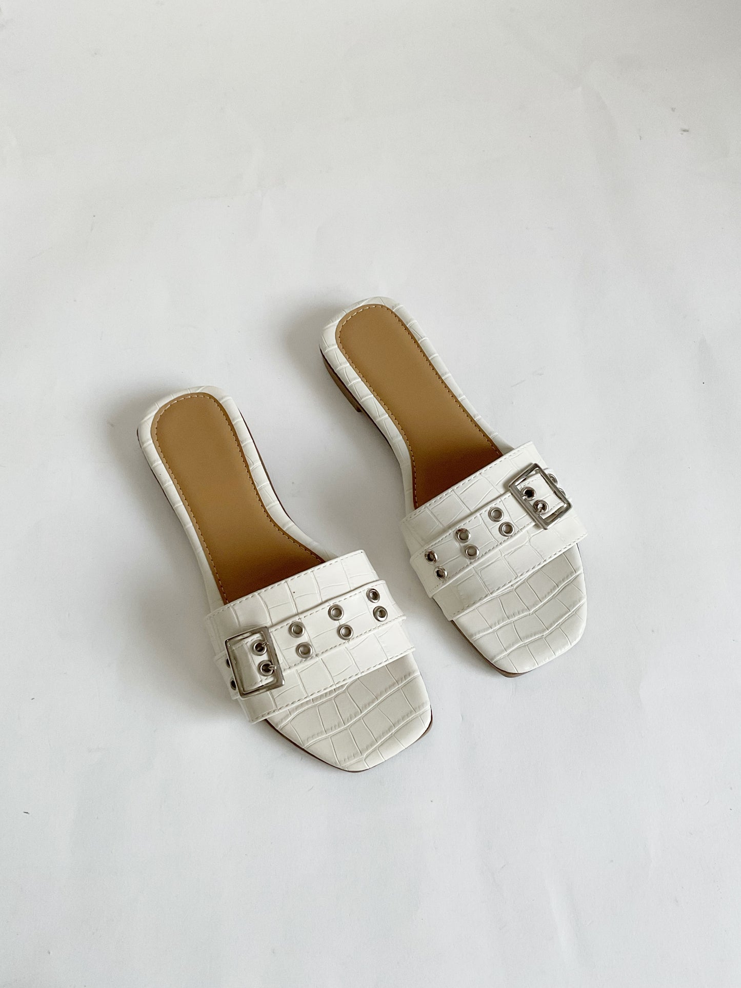 Mariana drilo ojillos